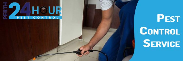 How to Choose Professionals for Pest Control