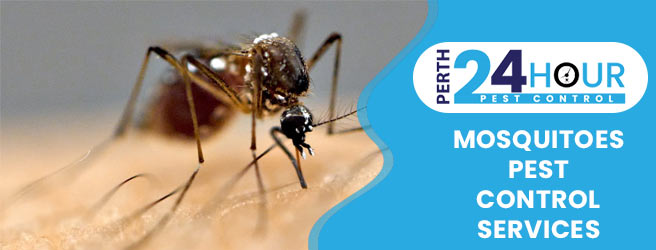 Mosquitoes Pest Control Services
