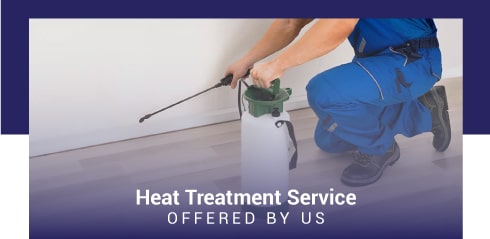 Heat Treatment for Pet Control